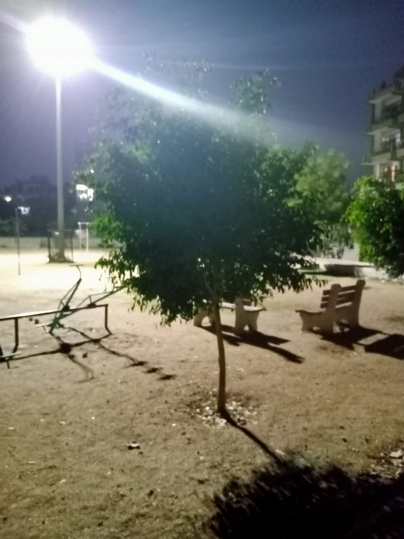 दिल्ली के रोहिणी क्षेत्र में पार्क और व्यायाम की खुली जगह